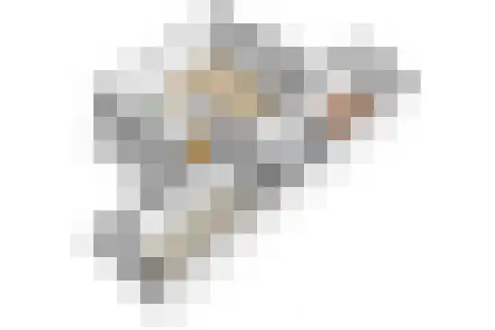 Vossenslag 17 Assen thumbnail 37