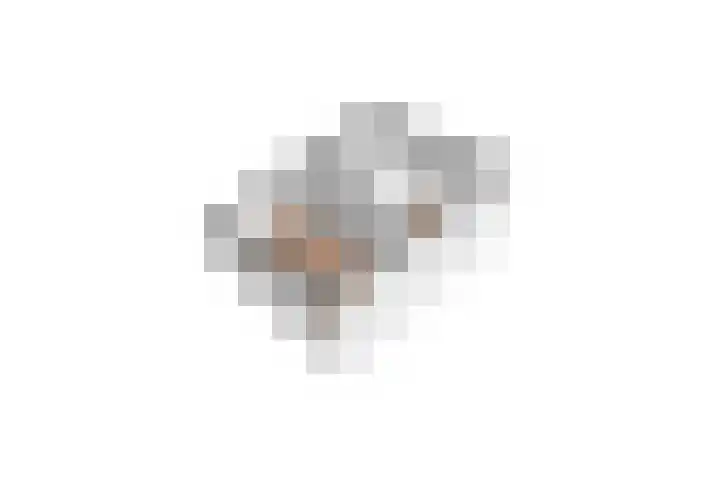 Vossenslag 17 Assen thumbnail 39