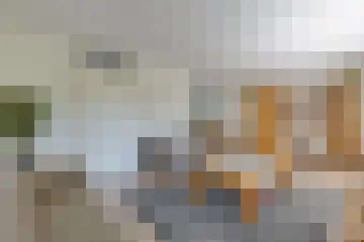 Vossenslag 17 Assen thumbnail 6