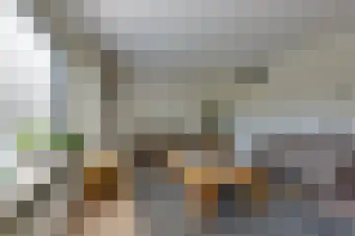 Vossenslag 17 Assen thumbnail 7