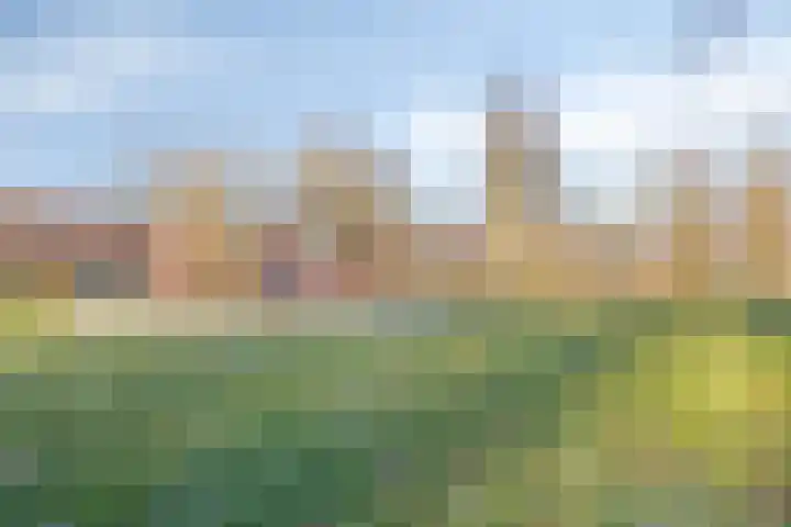 Vossenslag 35 Assen thumbnail 30