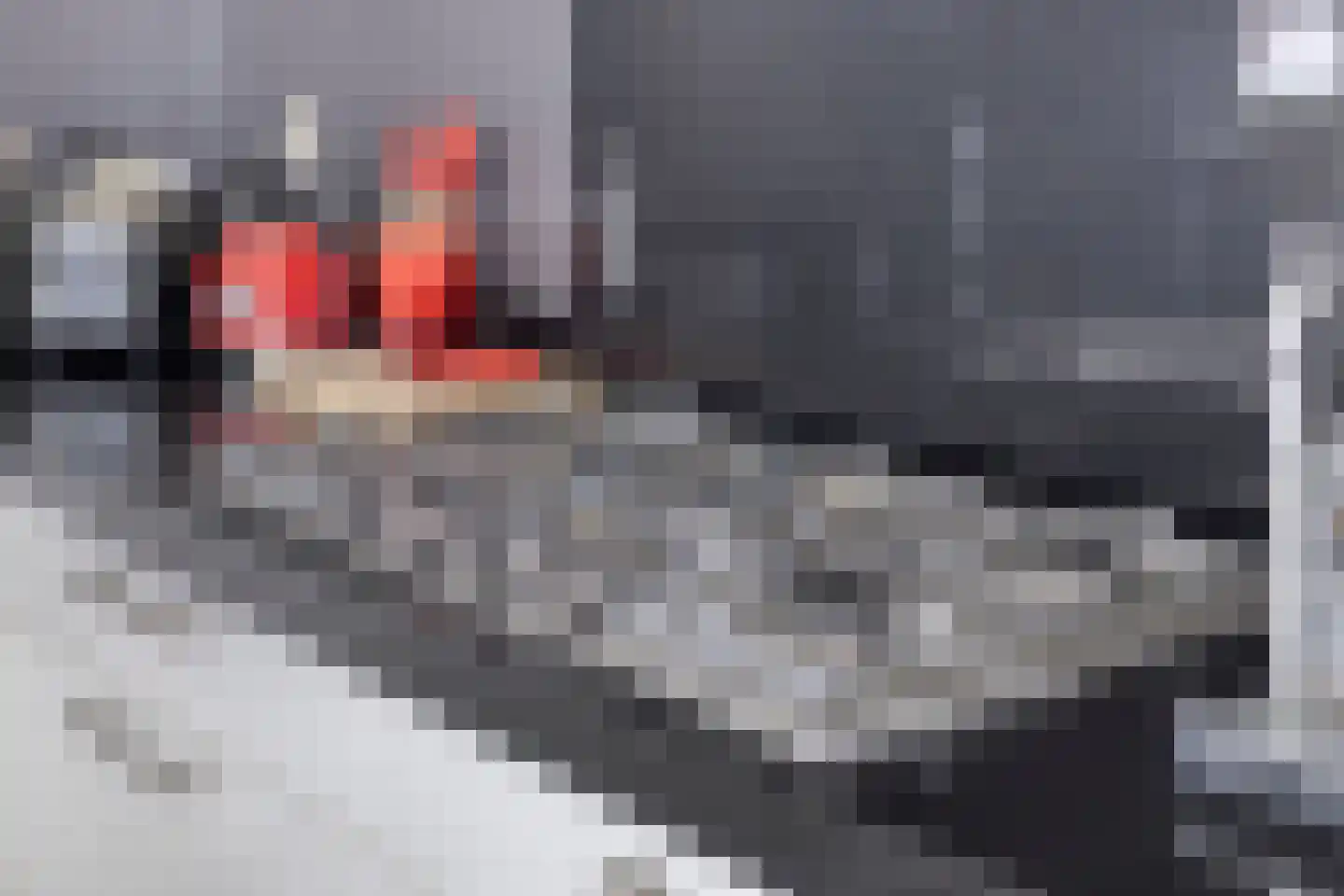 Vossenstaart 1 Made thumbnail 17