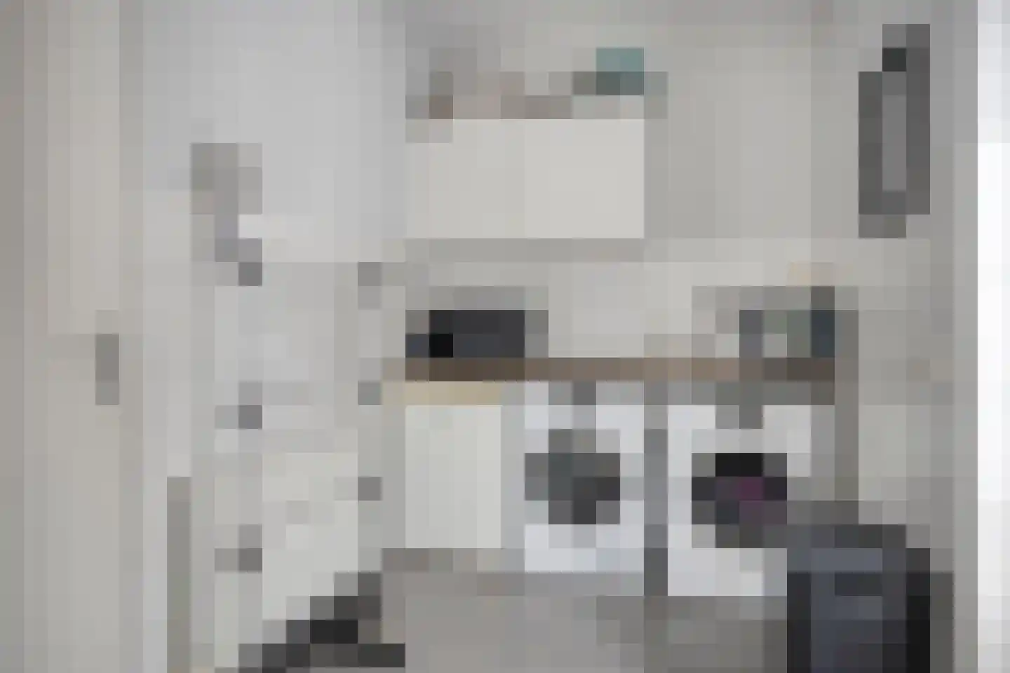 Vossenstaart 1 Made thumbnail 18