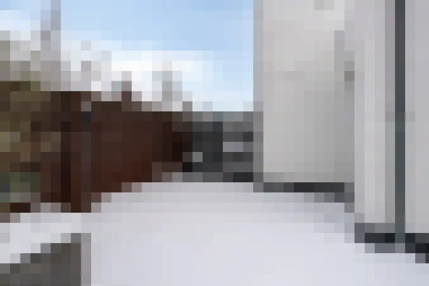 Vossenstaart 1 Made thumbnail 46
