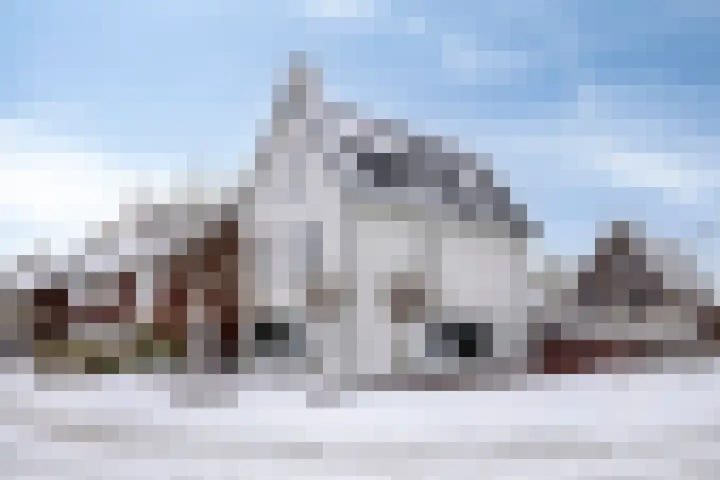 Vossenstaart 1 Made thumbnail 5