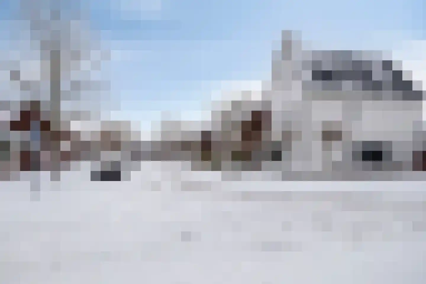 Vossenstaart 1 Made thumbnail 52