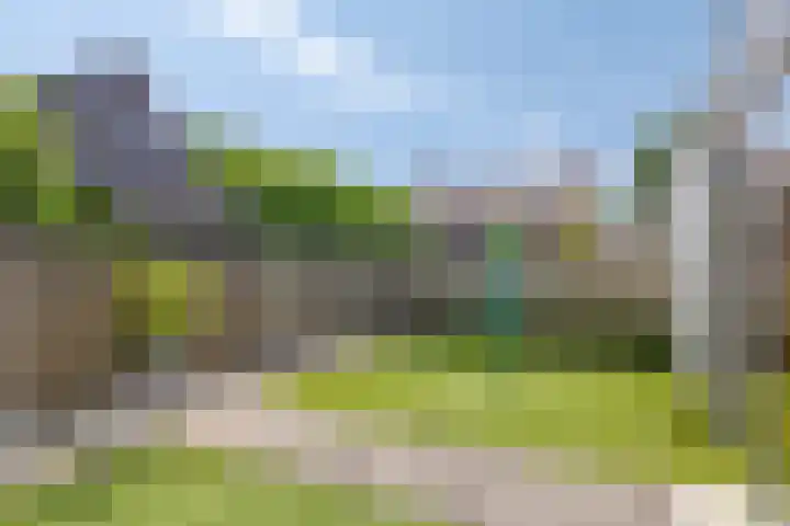 Vossenstaart 3 Made thumbnail 38