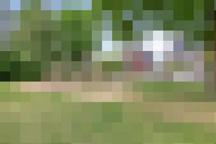 Vossenstaart 3 Made thumbnail 45