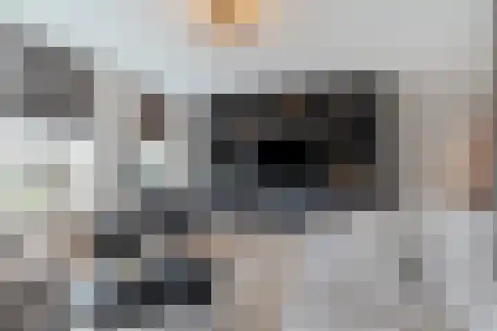 Vossenstaart 9 Anna Paulowna thumbnail 10
