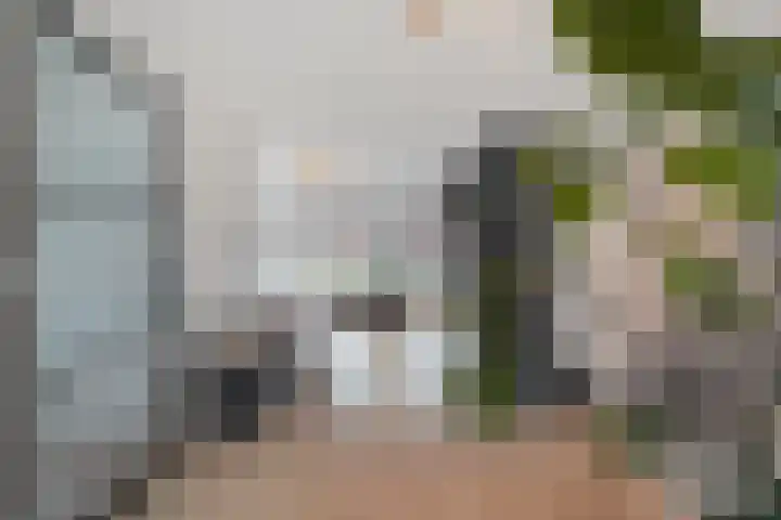 Vossenstaart 9 Anna Paulowna thumbnail 12
