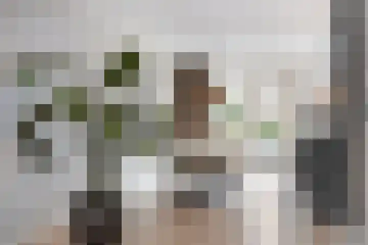 Vossenstaart 9 Anna Paulowna thumbnail 14