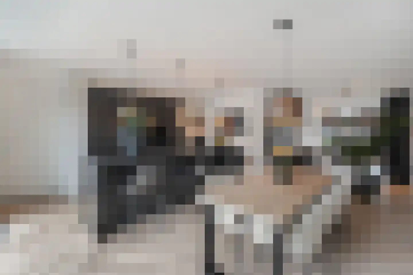 Vossenstaart 9 Anna Paulowna thumbnail 15