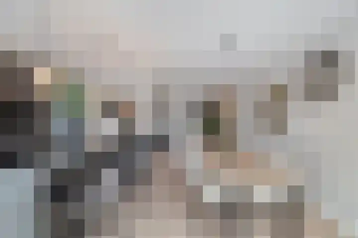Vossenstaart 9 Anna Paulowna thumbnail 17