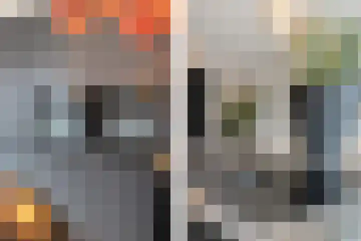 Vossenstaart 9 Anna Paulowna thumbnail 18