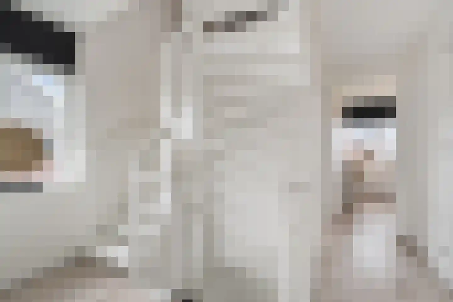 Vossenstaart 9 Anna Paulowna thumbnail 22