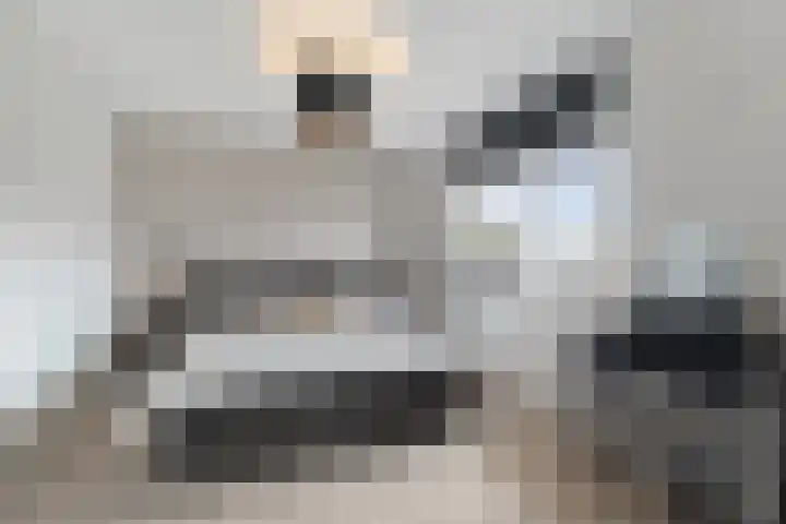 Vossenstaart 9 Anna Paulowna thumbnail 24