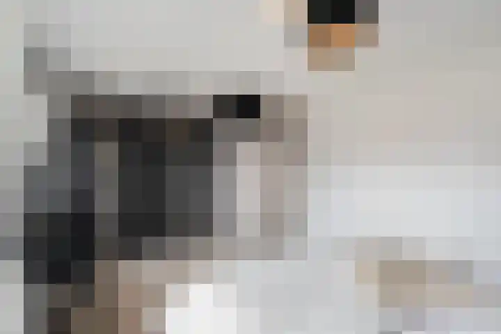 Vossenstaart 9 Anna Paulowna thumbnail 26