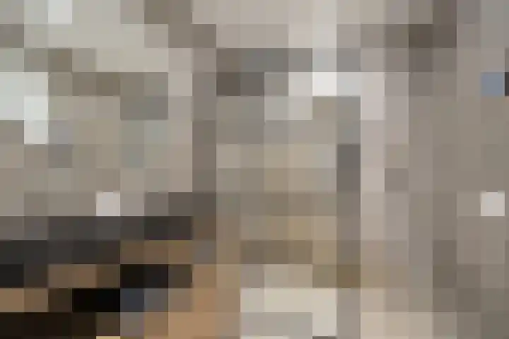 Vossenstaart 9 Anna Paulowna thumbnail 28