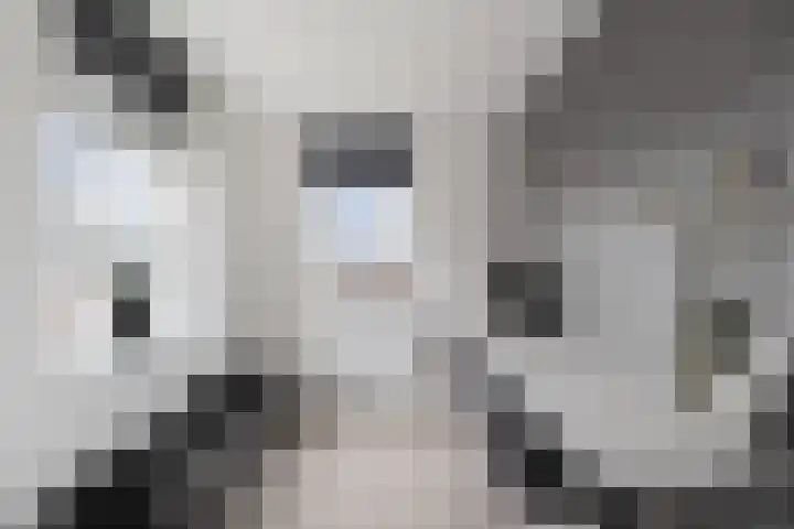 Vossenstaart 9 Anna Paulowna thumbnail 29