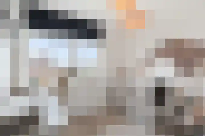 Vossenstaart 9 Anna Paulowna thumbnail 31