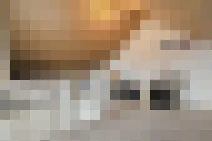 Vossenstaart 9 Anna Paulowna thumbnail 34