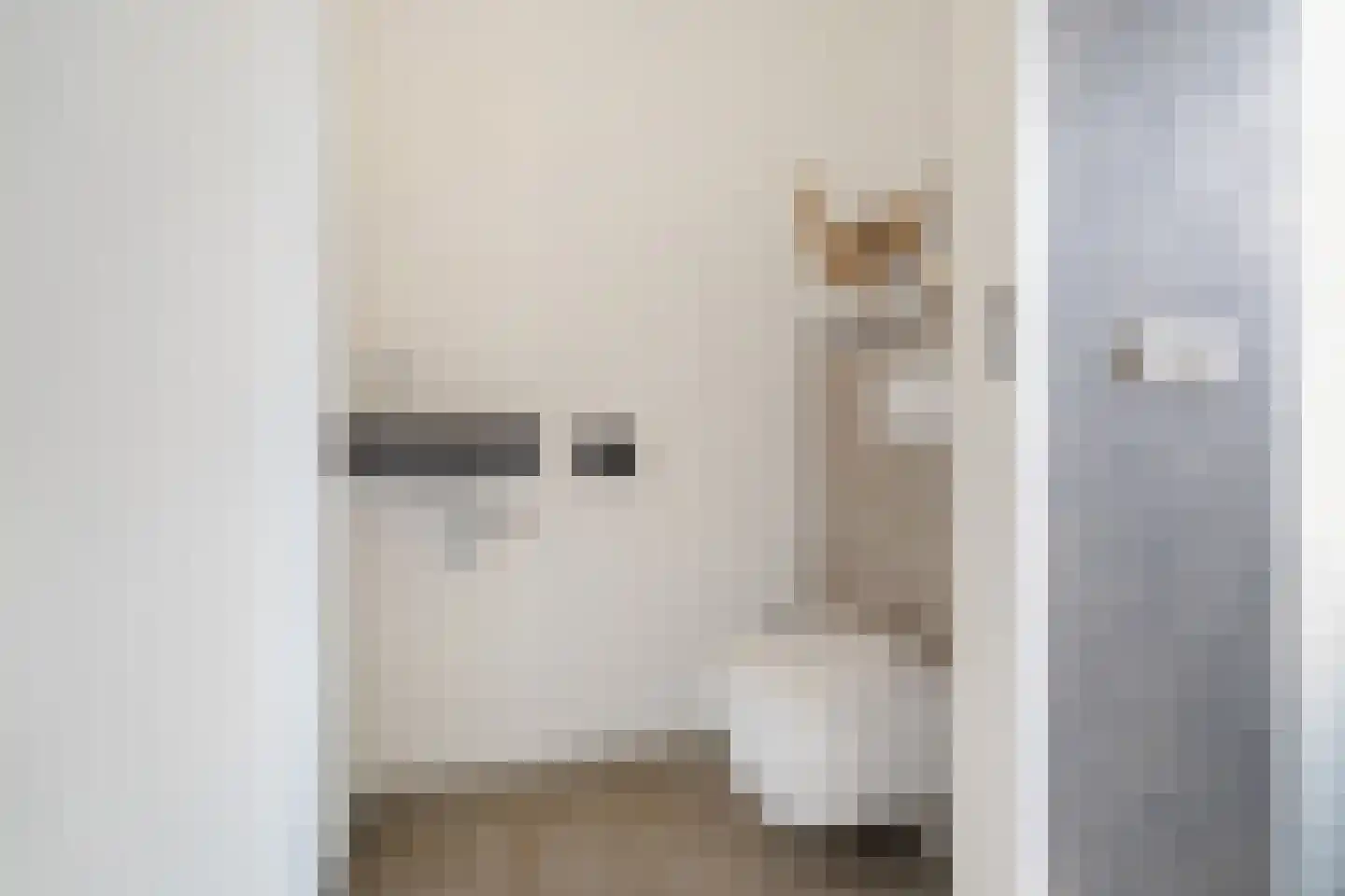 Vossenstaart 9 Anna Paulowna thumbnail 8