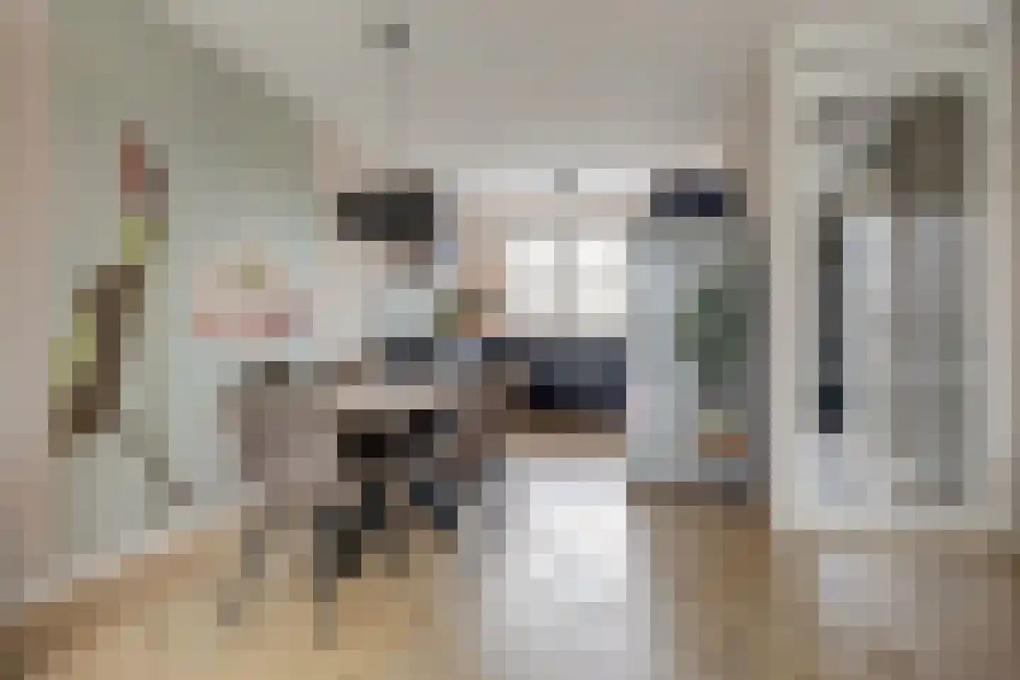 Vossenstaart 90 Anna Paulowna thumbnail 13