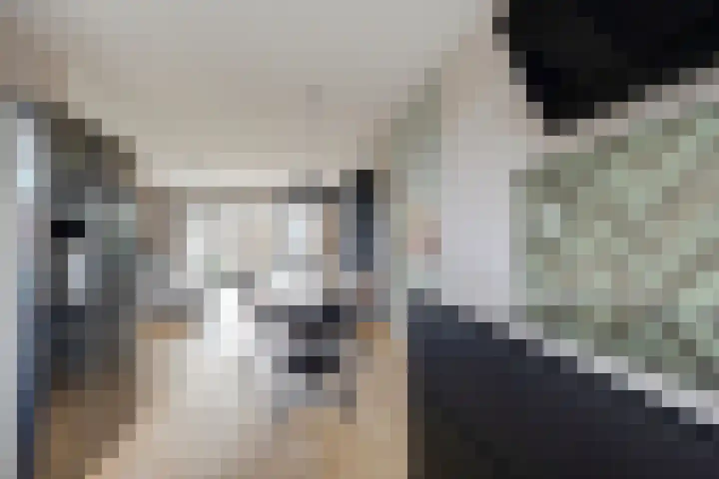 Vossenstaart 90 Anna Paulowna thumbnail 14