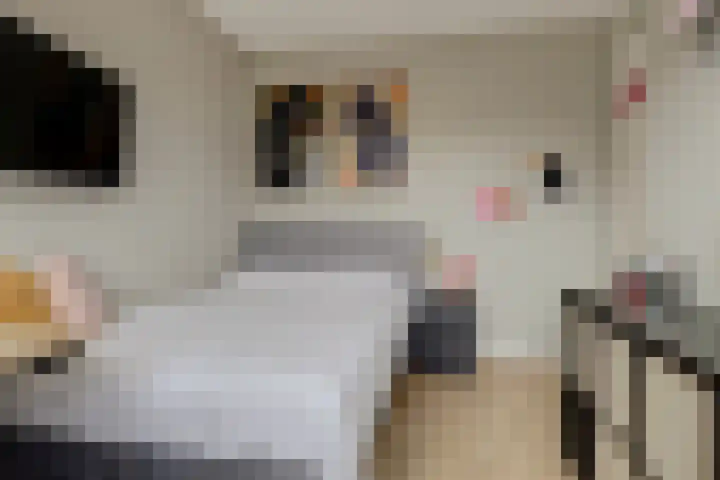 Vossenstaart 90 Anna Paulowna thumbnail 21
