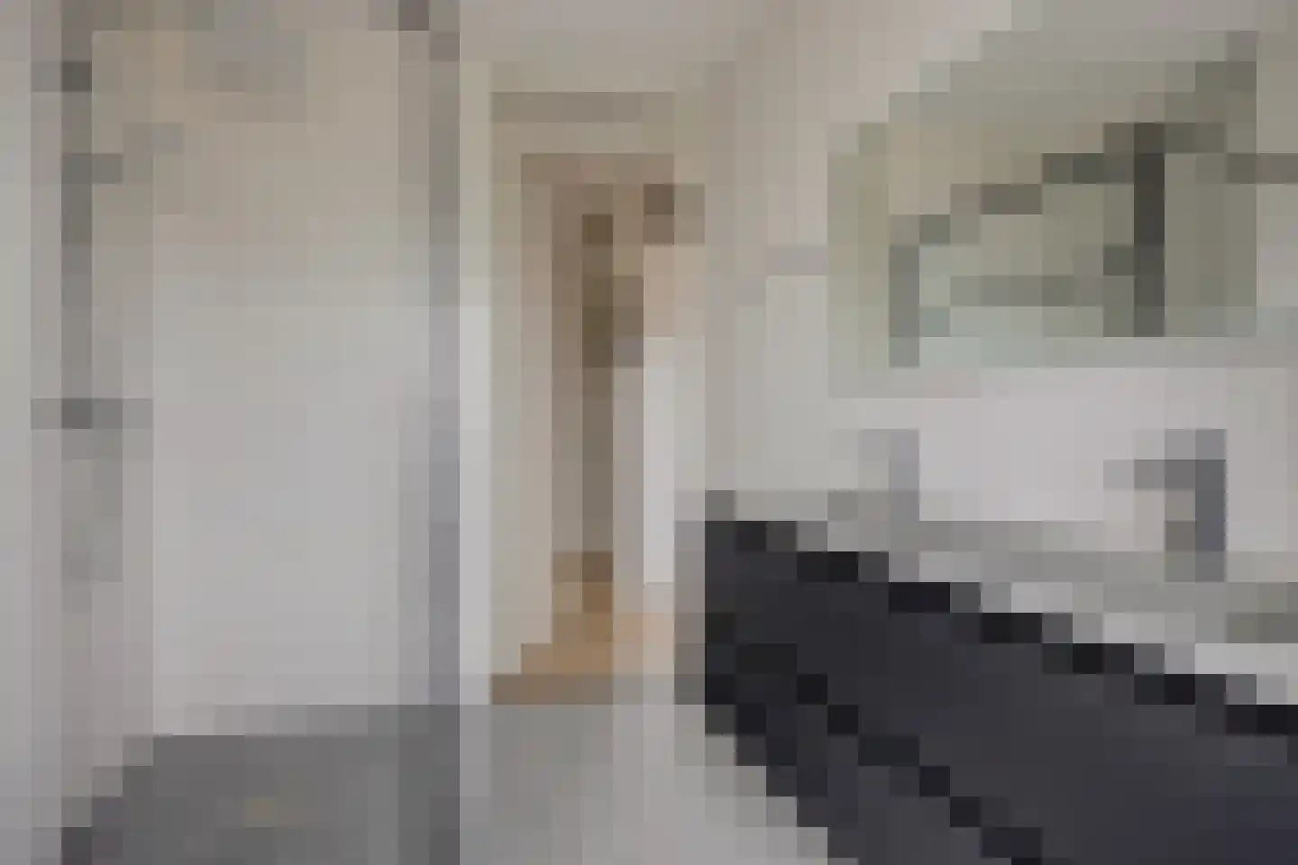 Vossenstaart 90 Anna Paulowna thumbnail 26