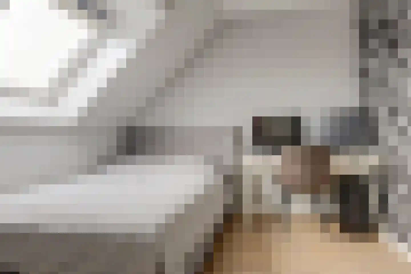 Vossenstaart 90 Anna Paulowna thumbnail 33