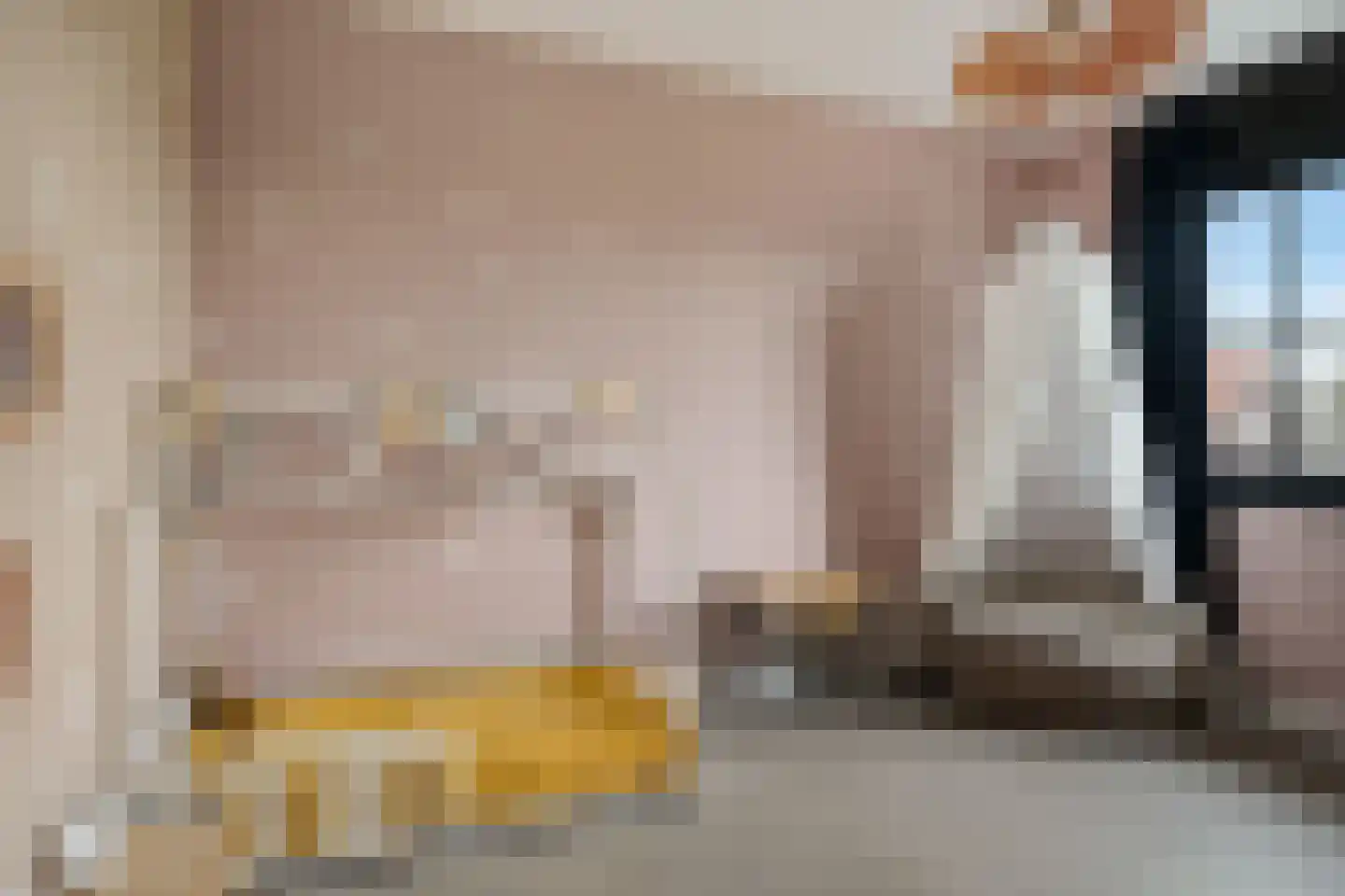 Vossenstaart 92 Anna Paulowna thumbnail 25
