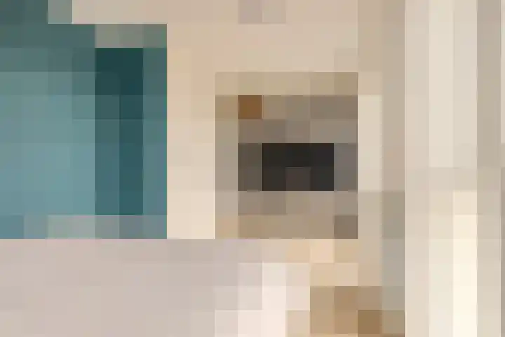 Vossenstaartpad 3 Heerhugowaard thumbnail 20