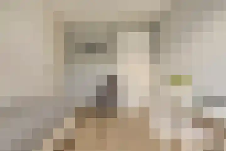 Vossenstaartpad 3 Heerhugowaard thumbnail 22