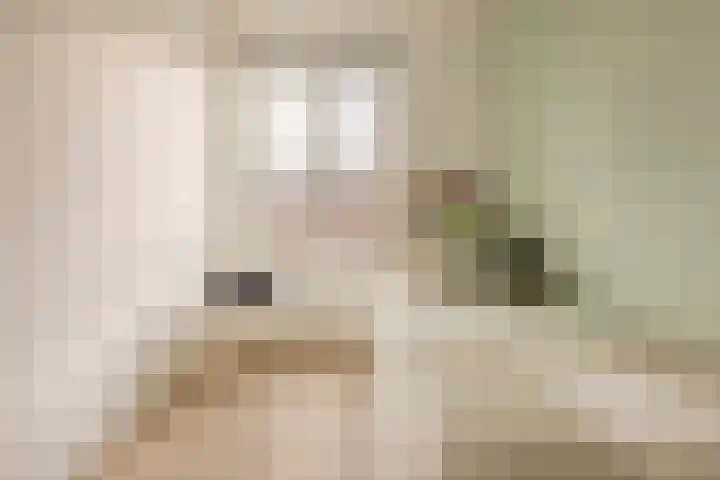 Vossenstaartpad 3 Heerhugowaard thumbnail 23