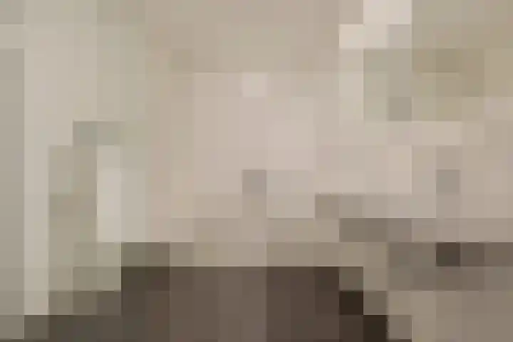 Vossenstaartpad 3 Heerhugowaard thumbnail 25