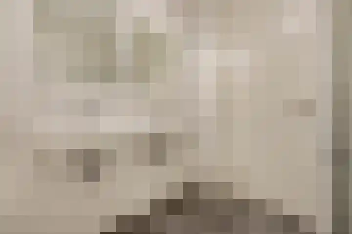 Vossenstaartpad 3 Heerhugowaard thumbnail 26