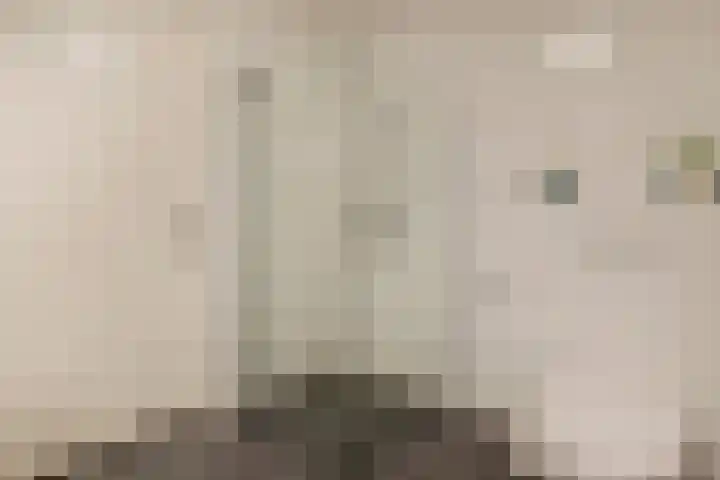 Vossenstaartpad 3 Heerhugowaard thumbnail 27