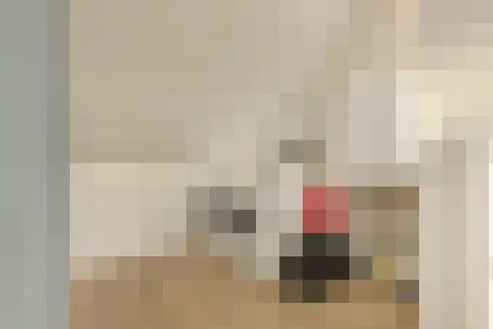 Vossenstaartpad 3 Heerhugowaard thumbnail 30