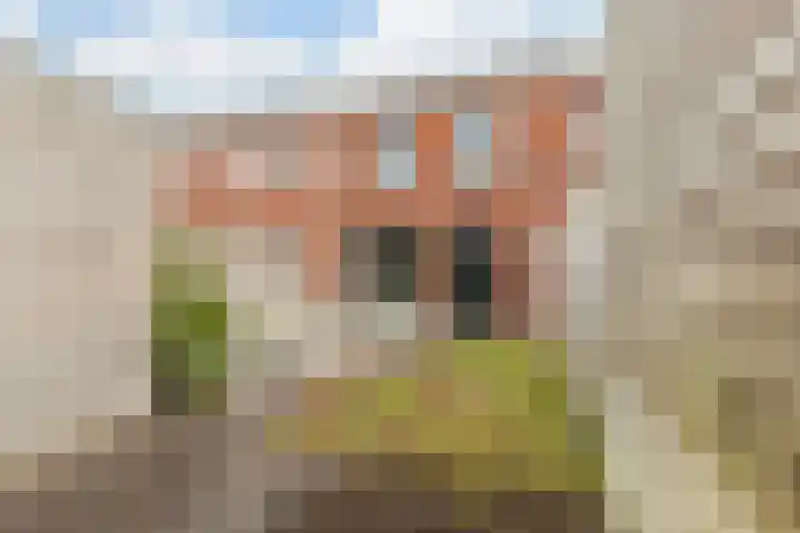 Vossenstaartpad 3 Heerhugowaard thumbnail 36