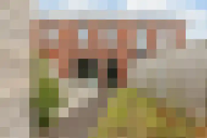 Vossenstaartpad 3 Heerhugowaard thumbnail 4
