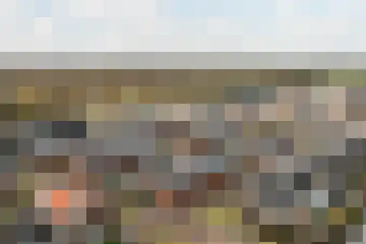 Vossenstaartpad 3 Heerhugowaard thumbnail 41