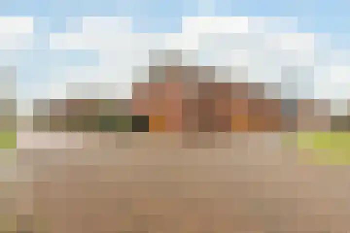 Vossenstaartpad 3 Heerhugowaard thumbnail 42