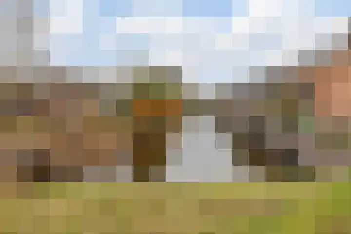 Vossenstaartpad 3 Heerhugowaard thumbnail 46