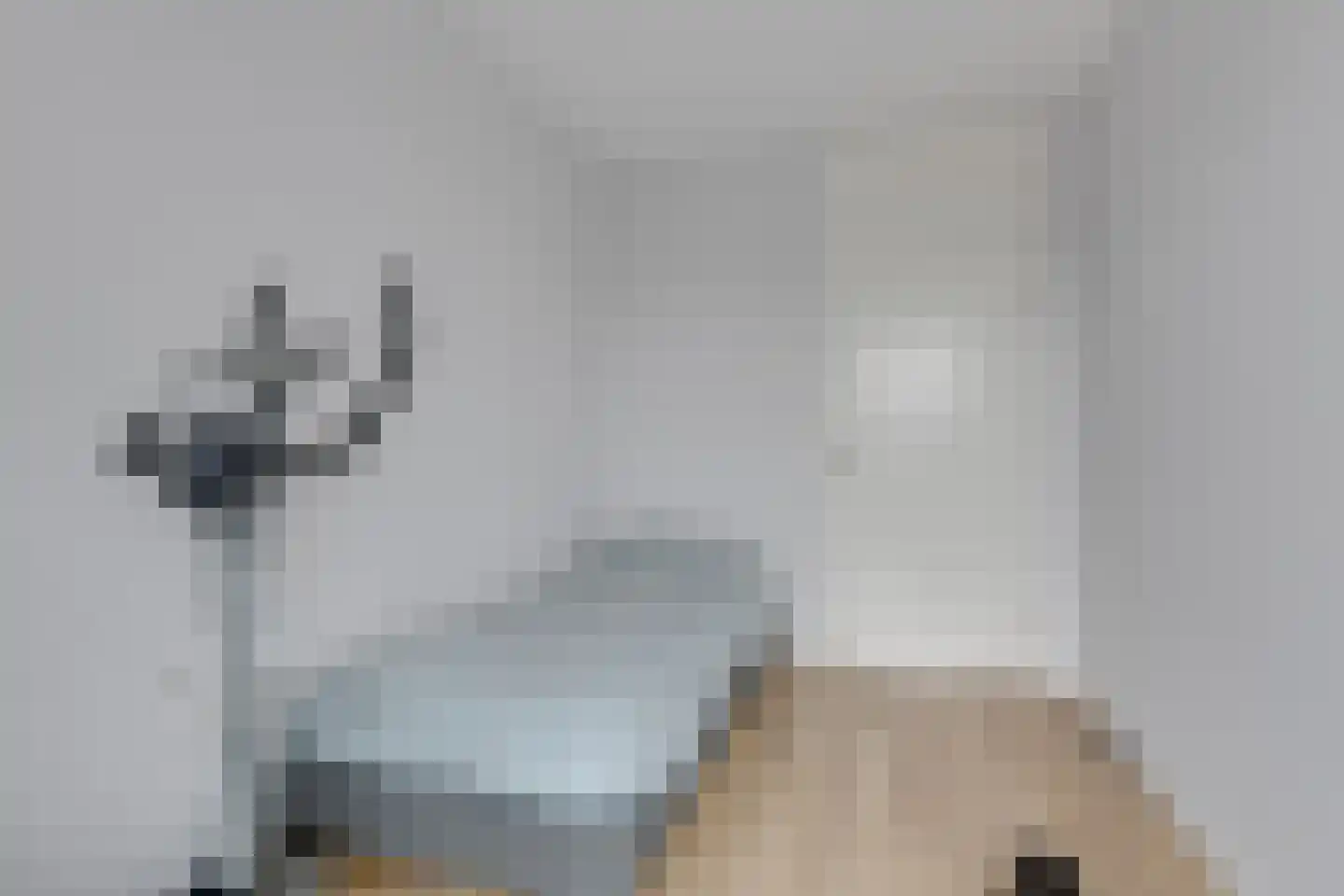 Vossenstaartpad 31 Heerhugowaard thumbnail 33