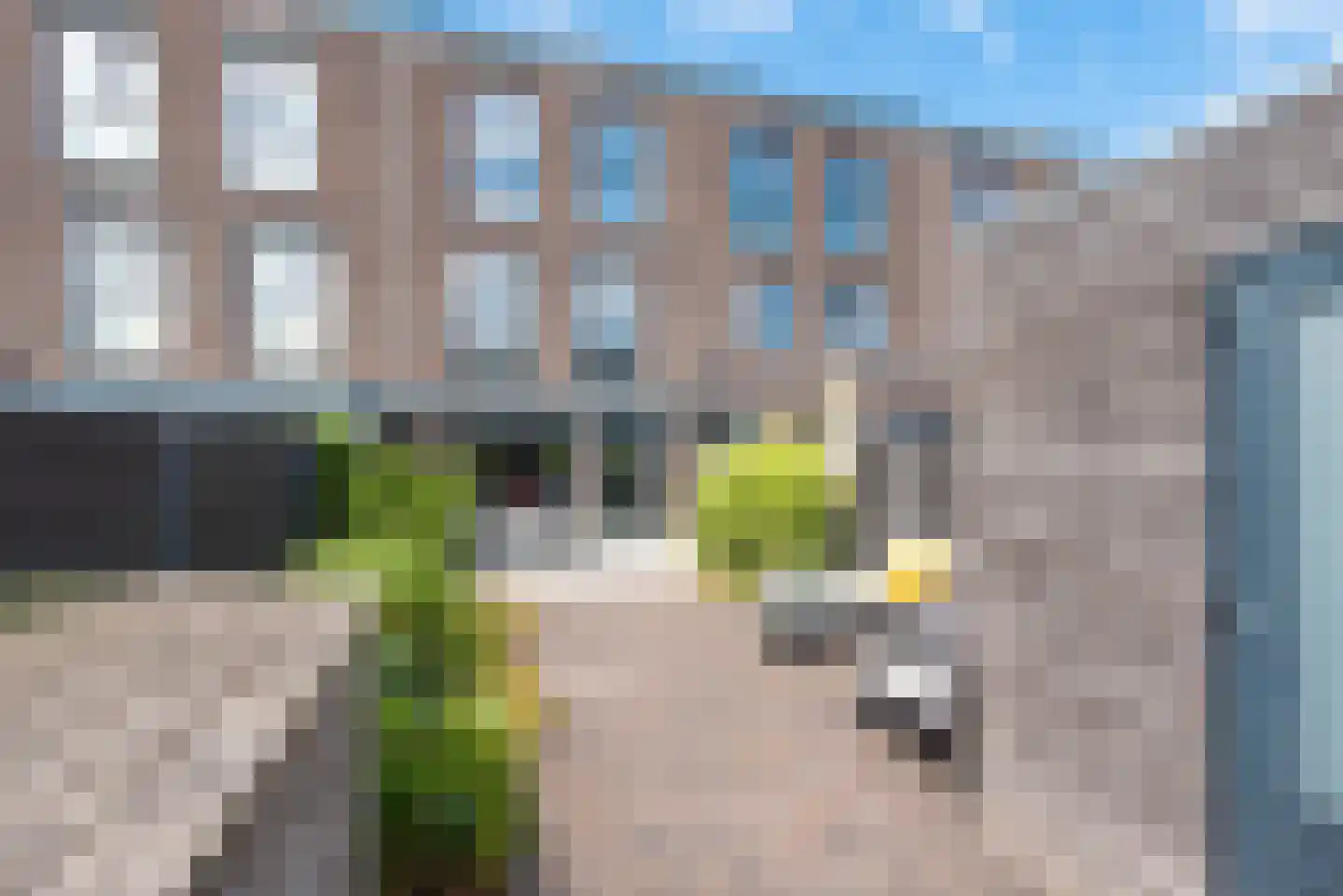 Vossenstaartpad 31 Heerhugowaard thumbnail 41