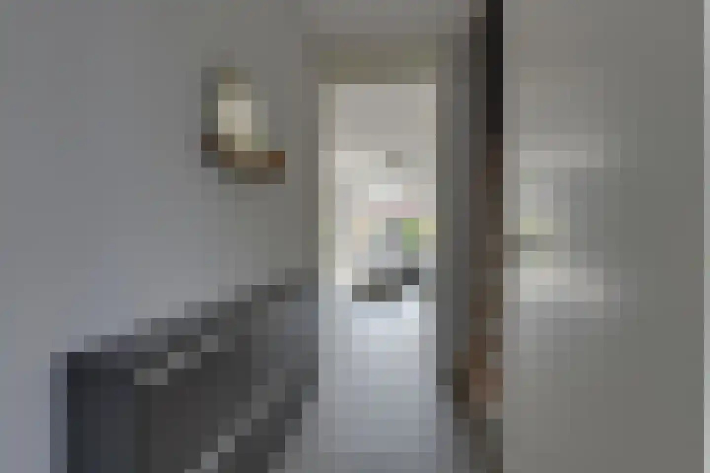 Vossenstaartpad 31 Heerhugowaard thumbnail 9