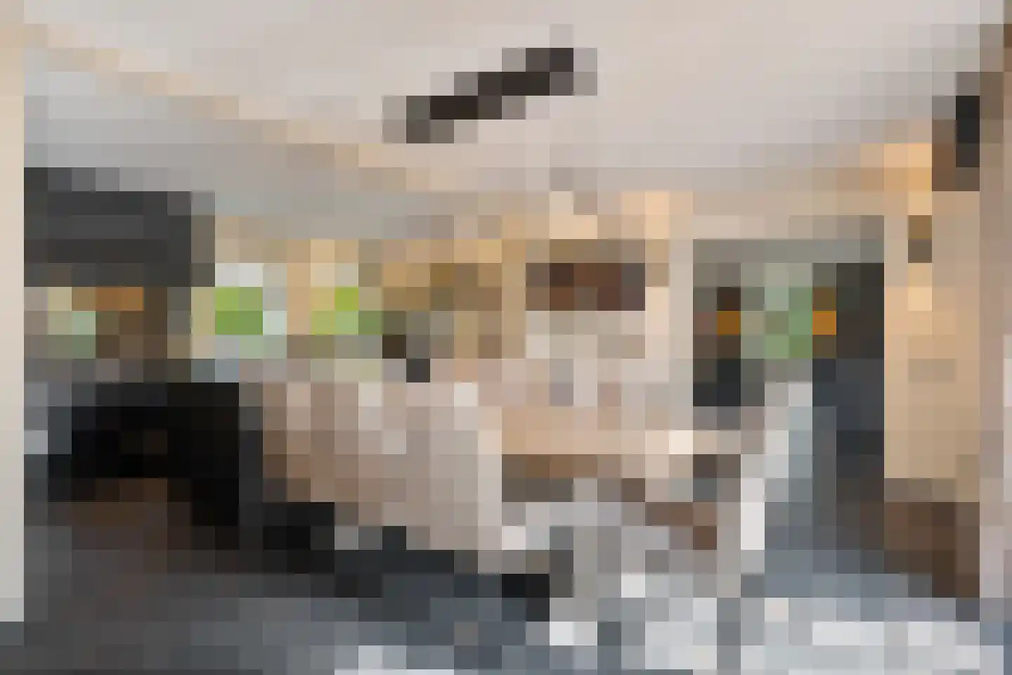 Vossensteeg 1 Overlangel thumbnail 10