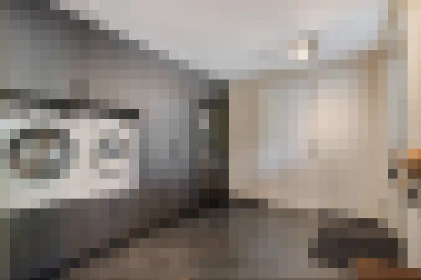Vossensteeg 1 Overlangel thumbnail 15