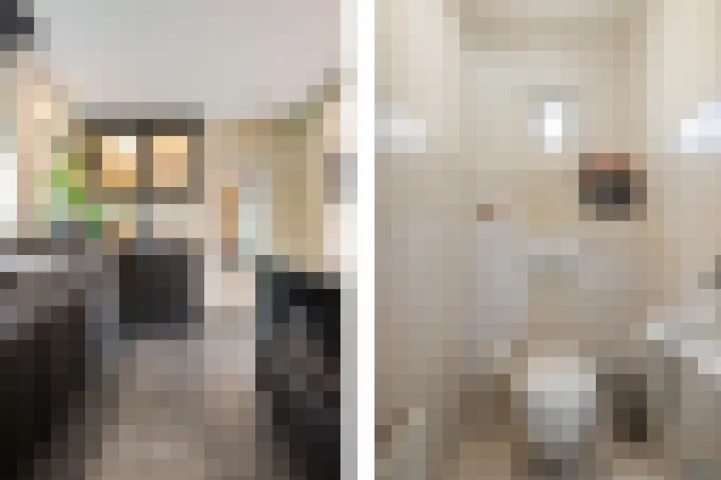 Vossensteeg 1 Overlangel thumbnail 16
